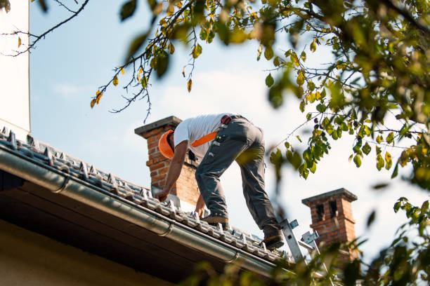 Best Commercial Roof Installation  in Somers, WI