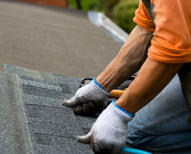 Best New Roof Installation  in Somers, WI